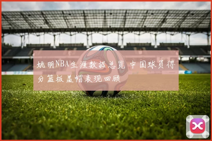 姚明NBA生涯数据总览 中国球员得分篮板盖帽表现回顾