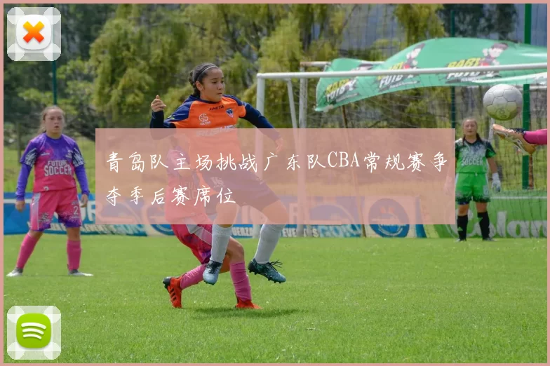 青岛队主场挑战广东队CBA常规赛争夺季后赛席位