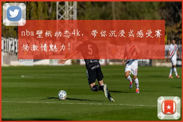 nba壁纸动态4k，带你沉浸式感受赛场激情魅力！