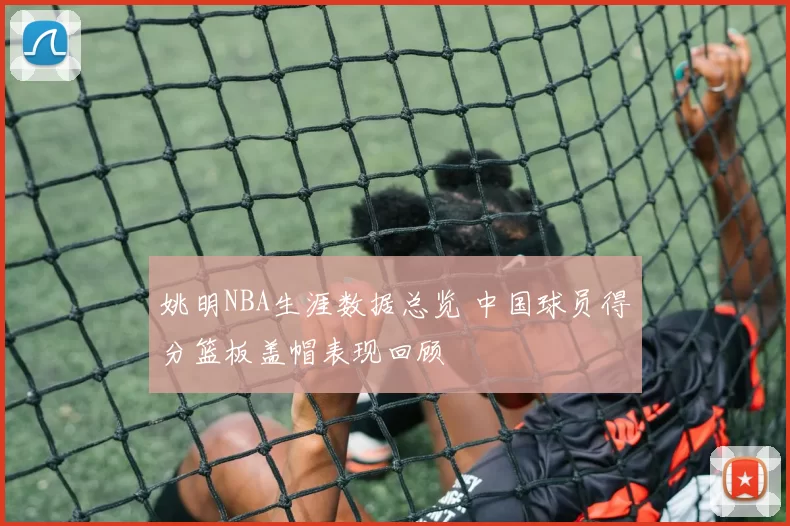 姚明NBA生涯数据总览 中国球员得分篮板盖帽表现回顾